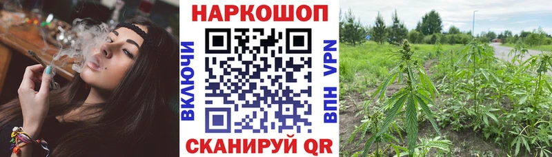 Купить наркотик Щёкино Бошки Шишки  Alpha-PVP  Гашиш 
